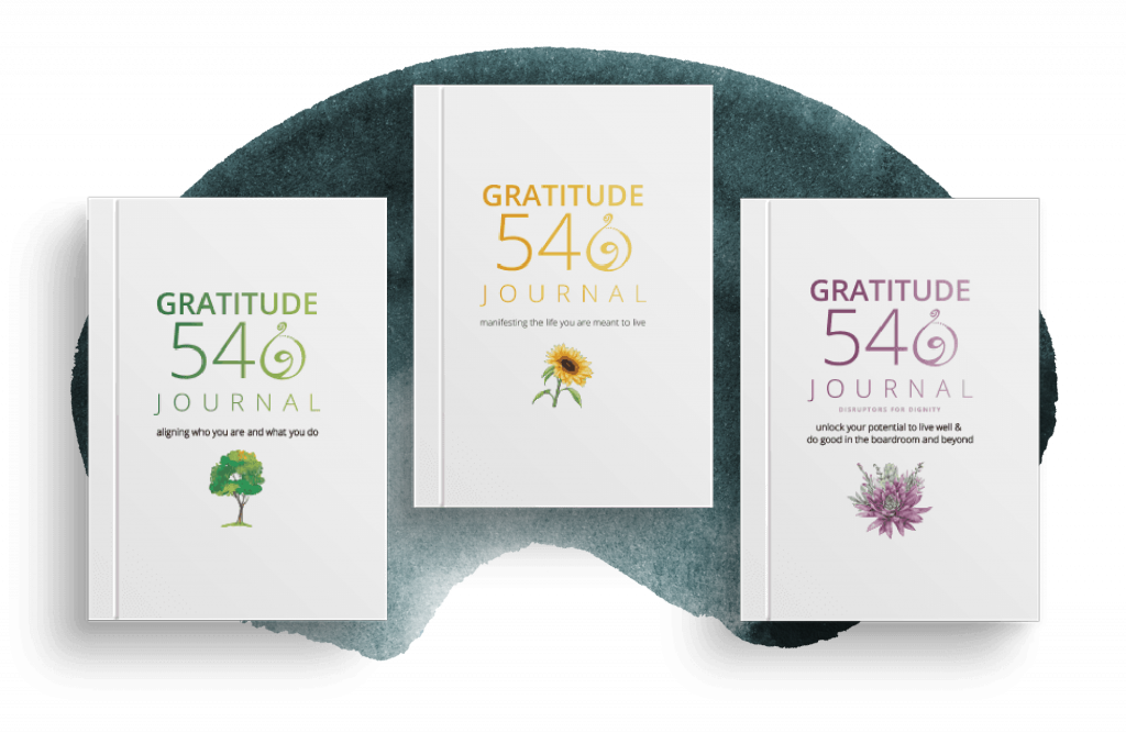 Gratitude 540 Journal Series