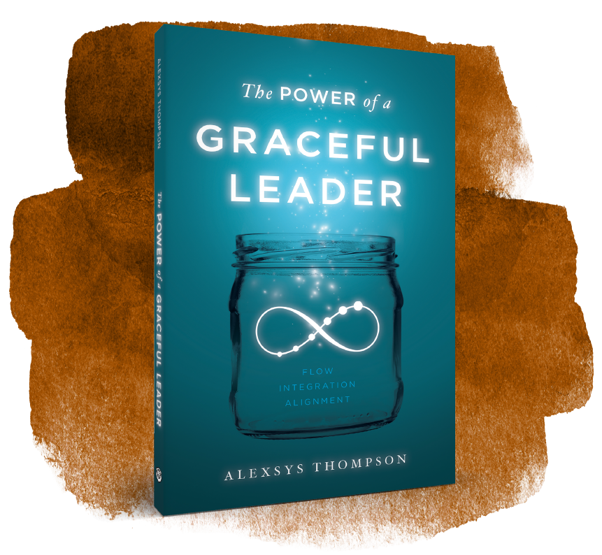 The Power of a Graceful Leader paperback